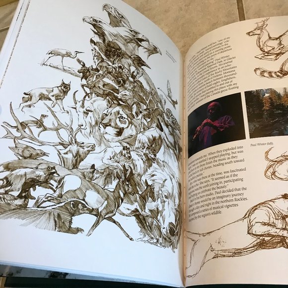 NEW Bev Doolittle New Magic Hardcover Book NIB Original Artwork Collector's Ed. - Picture 7 of 14